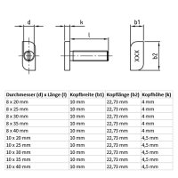 Hammerkopfschrauben Edelstahl A2 10x30 mm M10 Box 100 Stk.