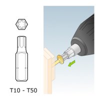 BIT Torx / TX-Antrieb T-10 - T40